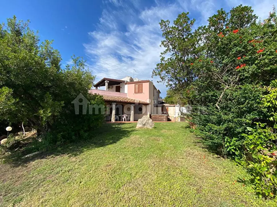 Immagine 6 di Villa in affitto  in Via Liguria a San Teodoro