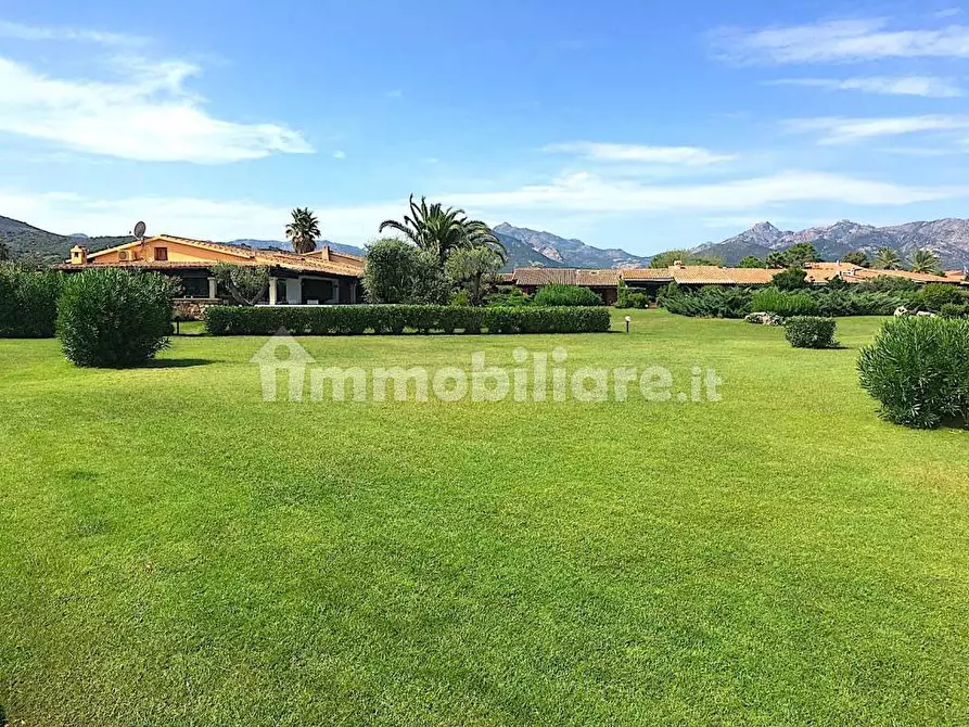 Immagine 6 di Casa vacanze in affitto  a San Teodoro