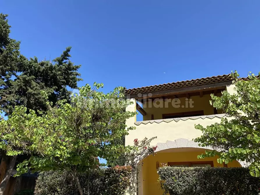 Immagine 2 di Casa vacanze in affitto  a San Teodoro