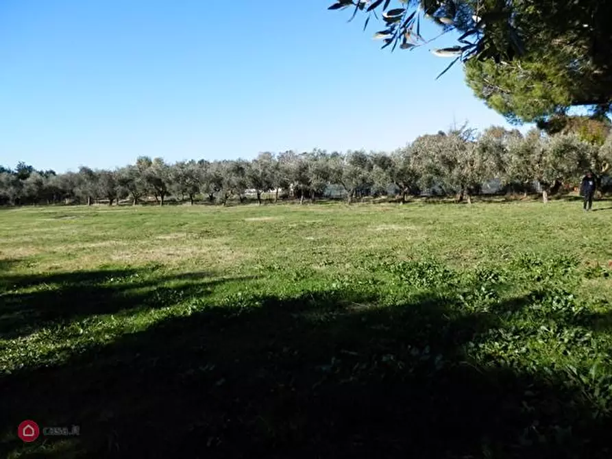 Immagine 1 di Terreno agricolo in vendita  in Località San Giorgio a Tarquinia