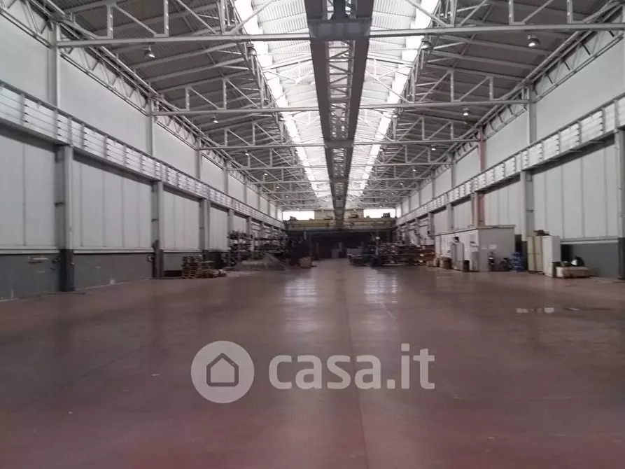 Immagine 1 di Capannone industriale in affitto  in Via della Colmata a Collesalvetti