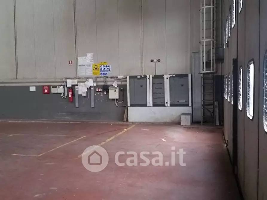 Immagine 3 di Capannone industriale in affitto  in Via della Colmata a Collesalvetti