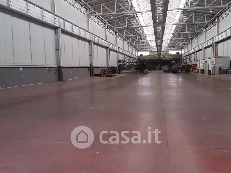 Immagine 5 di Capannone industriale in affitto  in Via della Colmata a Collesalvetti