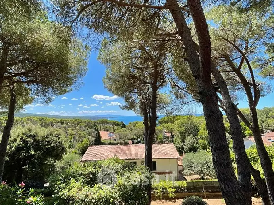 Immagine 1 di Villa in vendita  in Via del Glicine a Livorno