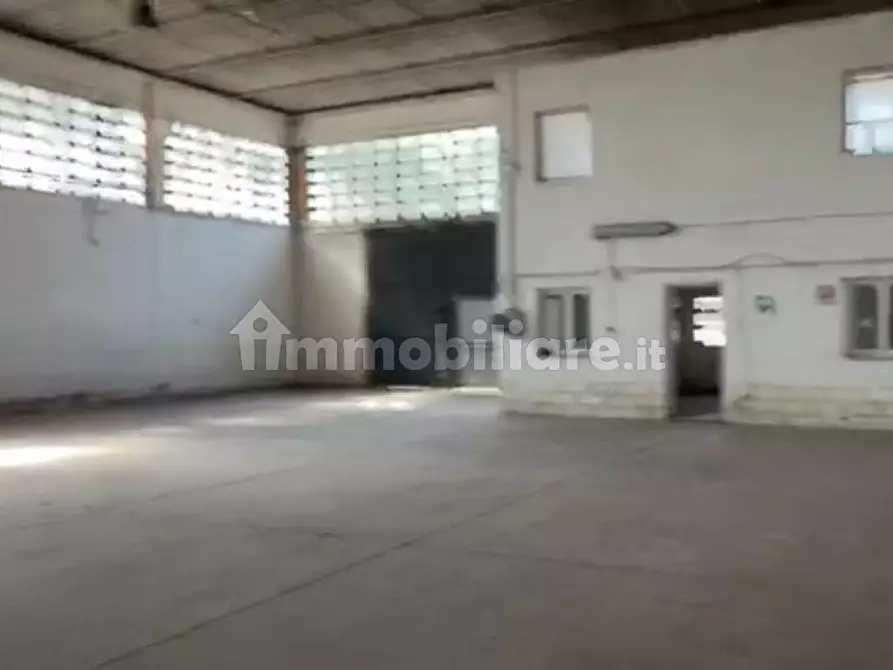 Immagine 3 di Capannone industriale in affitto  in Via Nicola Sacco e Bartolomeo Vanzetti a Collesalvetti