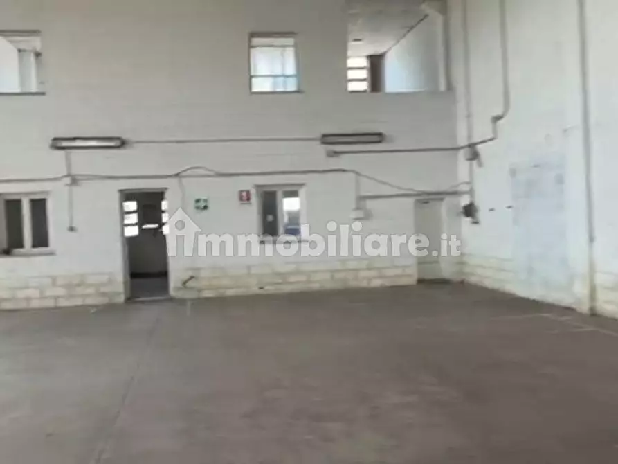 Immagine 5 di Capannone industriale in affitto  in Via Nicola Sacco e Bartolomeo Vanzetti a Collesalvetti