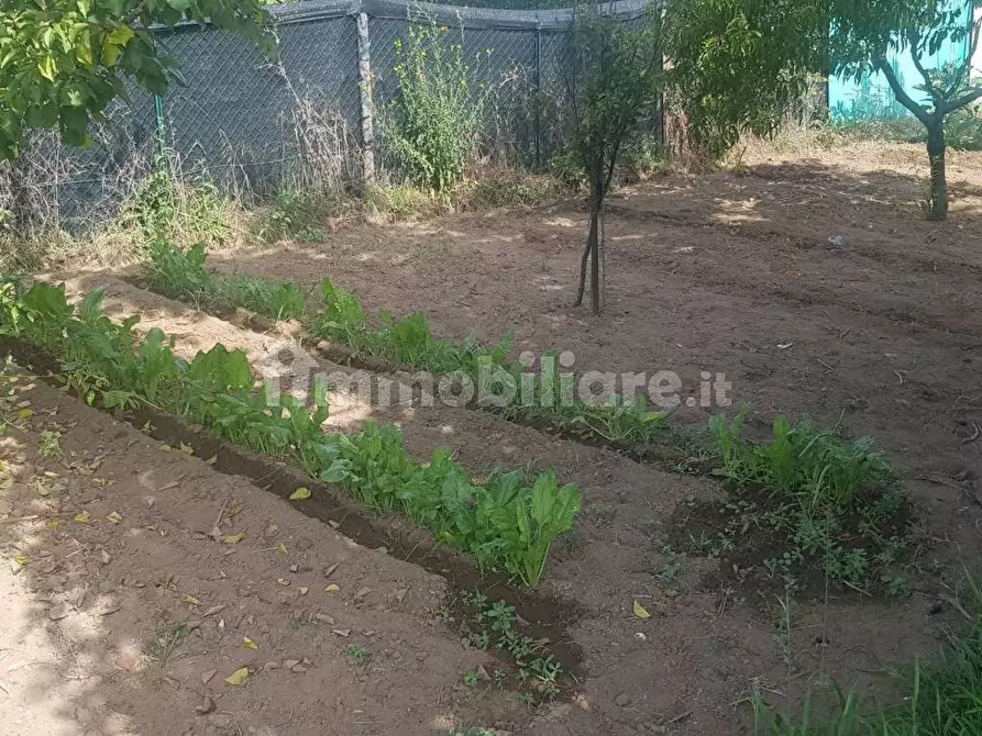 Immagine 5 di Terreno agricolo in vendita  in Via delle Macchie a Livorno