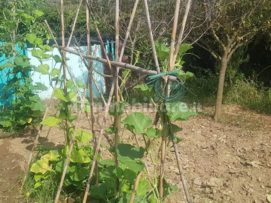 Immagine 8 di Terreno agricolo in vendita  in Via delle Macchie a Livorno