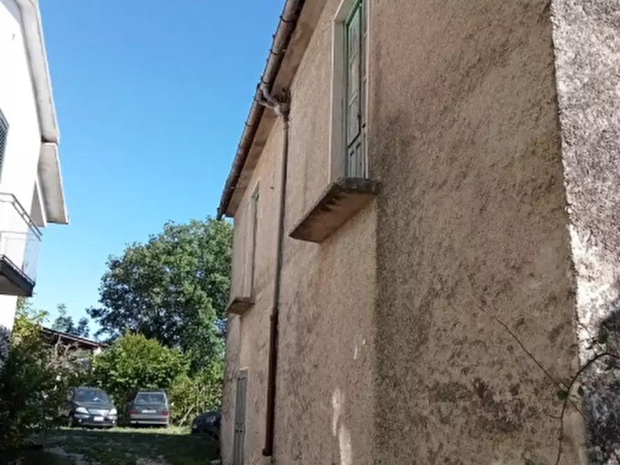 Immagine 2 di Azienda agricola in vendita  in CARATTANO a Gioia Sannitica