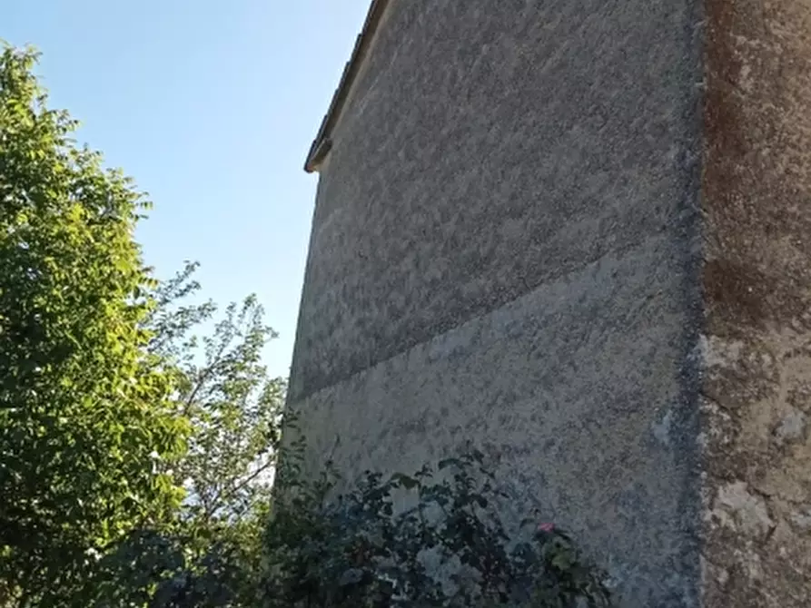 Immagine 11 di Azienda agricola in vendita  in CARATTANO a Gioia Sannitica