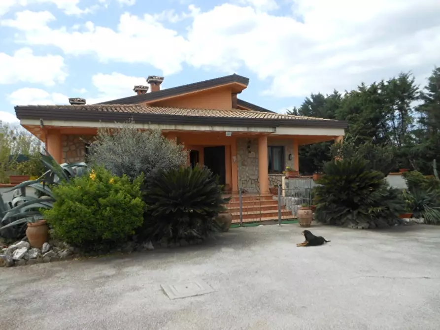 Immagine 12 di Villa in vendita  a Vairano Patenora