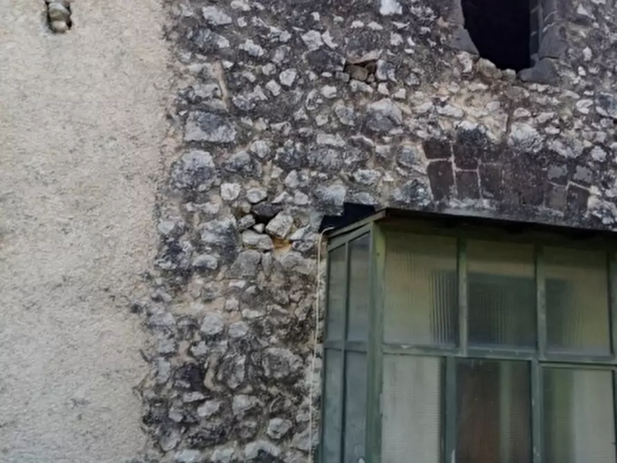 Immagine 13 di Azienda agricola in vendita  in CARATTANO a Gioia Sannitica