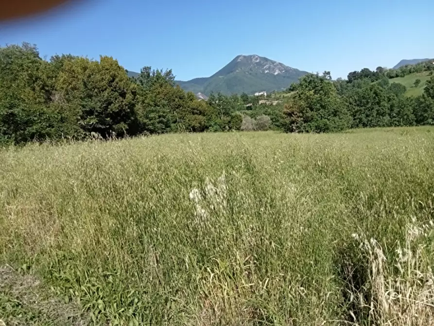 Immagine 17 di Azienda agricola in vendita  in CARATTANO a Gioia Sannitica