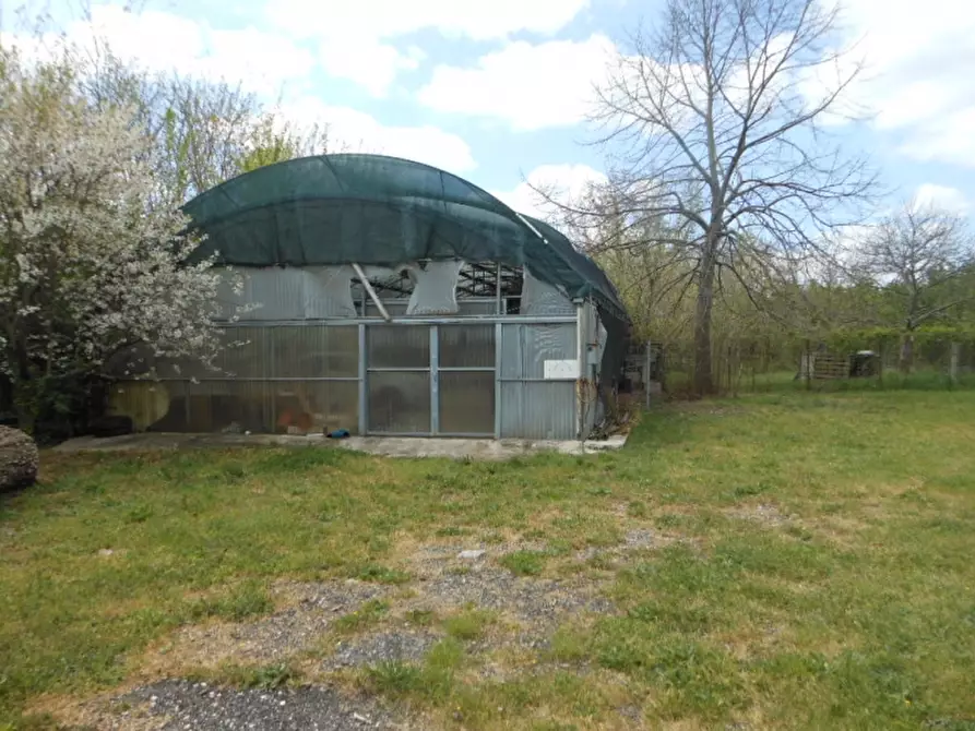 Immagine 19 di Villa in vendita  a Vairano Patenora