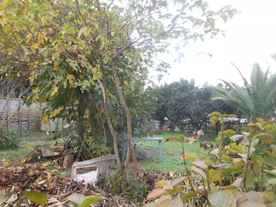 Immagine 15 di Appartamento in vendita  a Teano