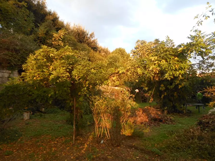 Immagine 19 di Appartamento in vendita  a Teano