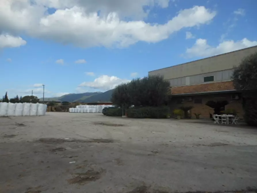 Immagine 3 di Capannone industriale in vendita  in S.S.85 VENAFRANA a Presenzano