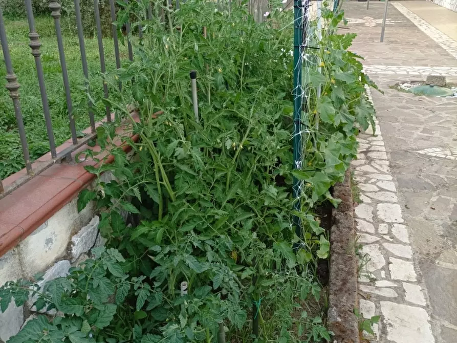 Immagine 11 di Villa in vendita  a Presenzano