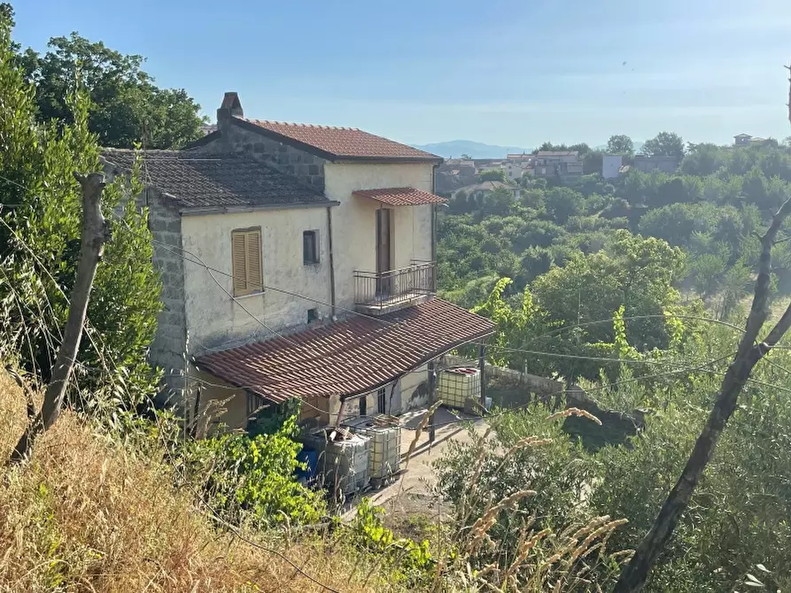 Immagine 2 di Rustico / casale in vendita  a Teano