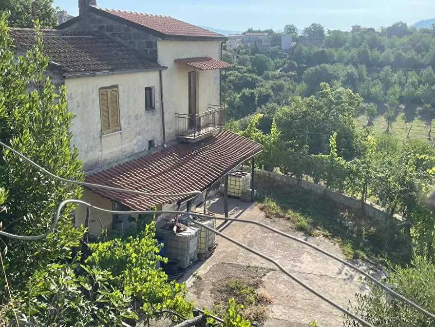 Immagine 3 di Rustico / casale in vendita  a Teano