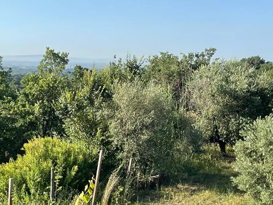 Immagine 12 di Rustico / casale in vendita  a Teano