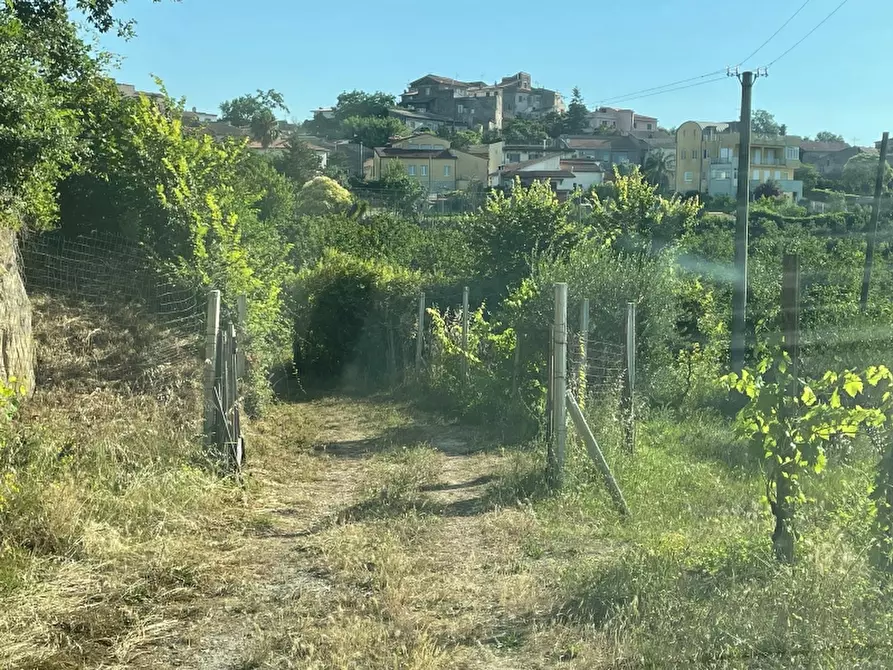 Immagine 14 di Rustico / casale in vendita  a Teano