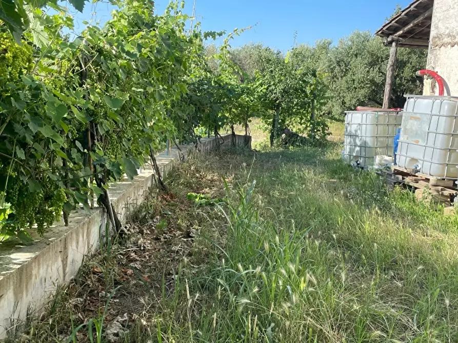 Immagine 17 di Rustico / casale in vendita  a Teano