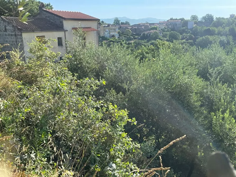 Immagine 18 di Rustico / casale in vendita  a Teano
