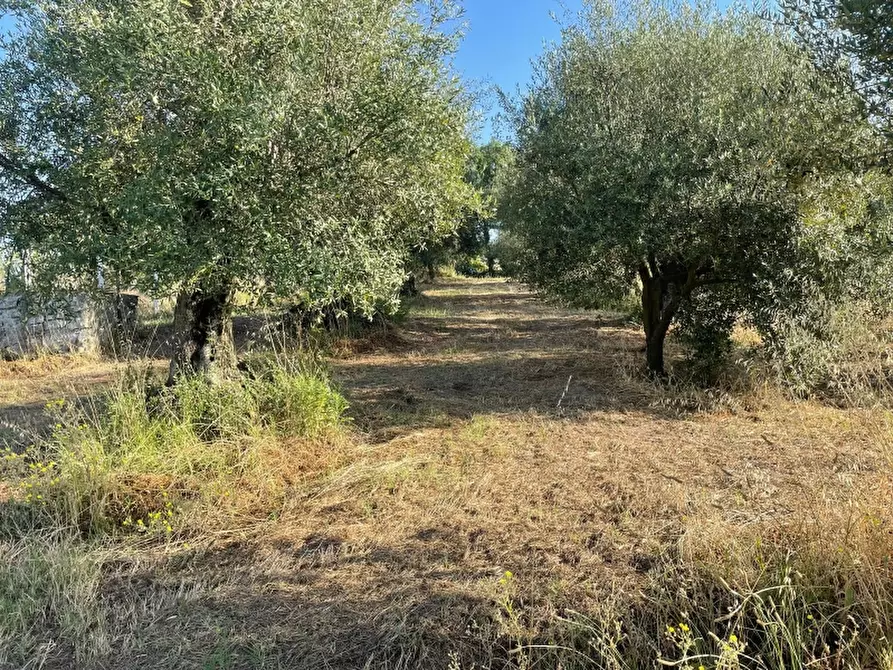 Immagine 19 di Rustico / casale in vendita  a Teano