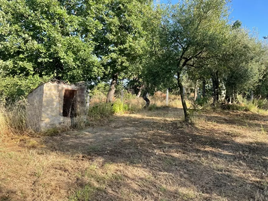 Immagine 20 di Rustico / casale in vendita  a Teano