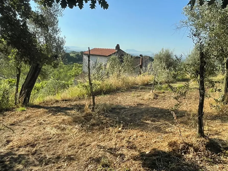 Immagine 5 di Rustico / casale in vendita  a Teano