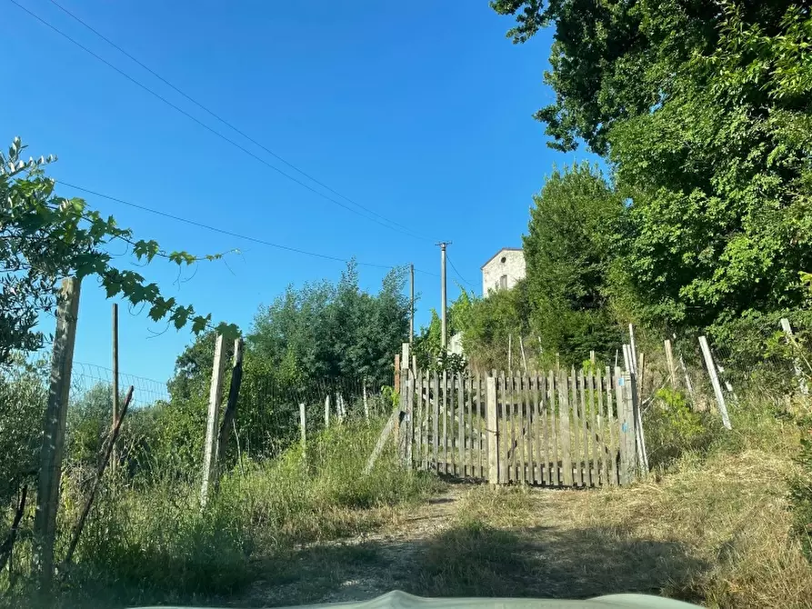 Immagine 7 di Rustico / casale in vendita  a Teano