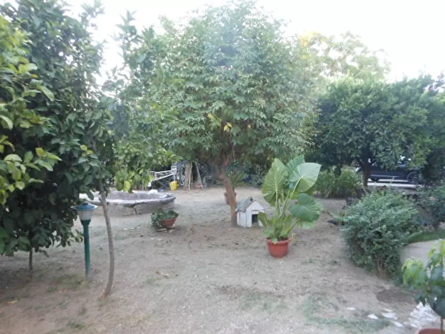 Immagine 14 di Appartamento in vendita  a Teano