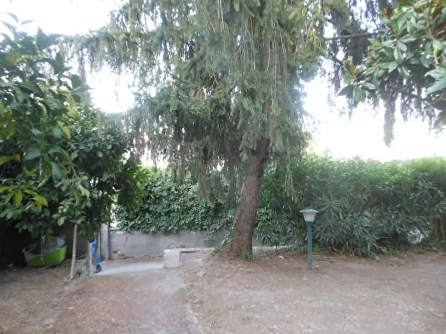 Immagine 16 di Appartamento in vendita  a Teano