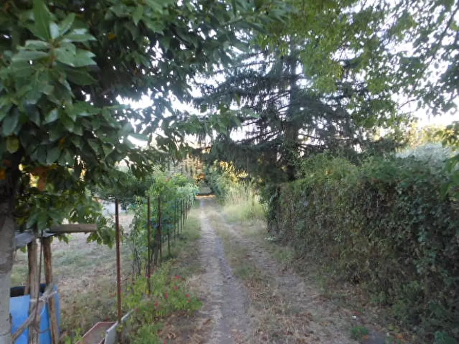 Immagine 5 di Appartamento in vendita  a Teano