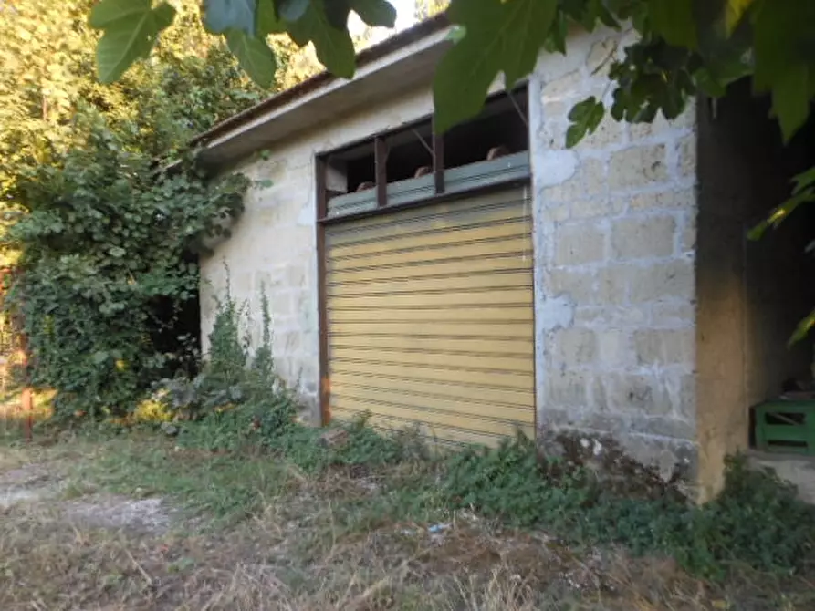 Immagine 6 di Appartamento in vendita  a Teano