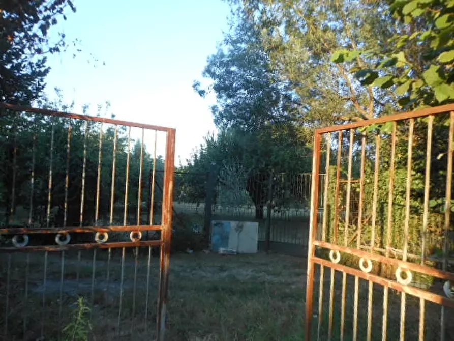 Immagine 7 di Appartamento in vendita  a Teano