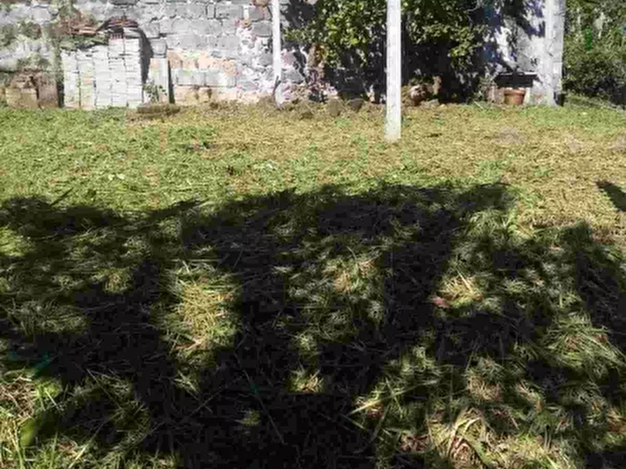 Immagine 2 di Appartamento in vendita  a Marzano Appio