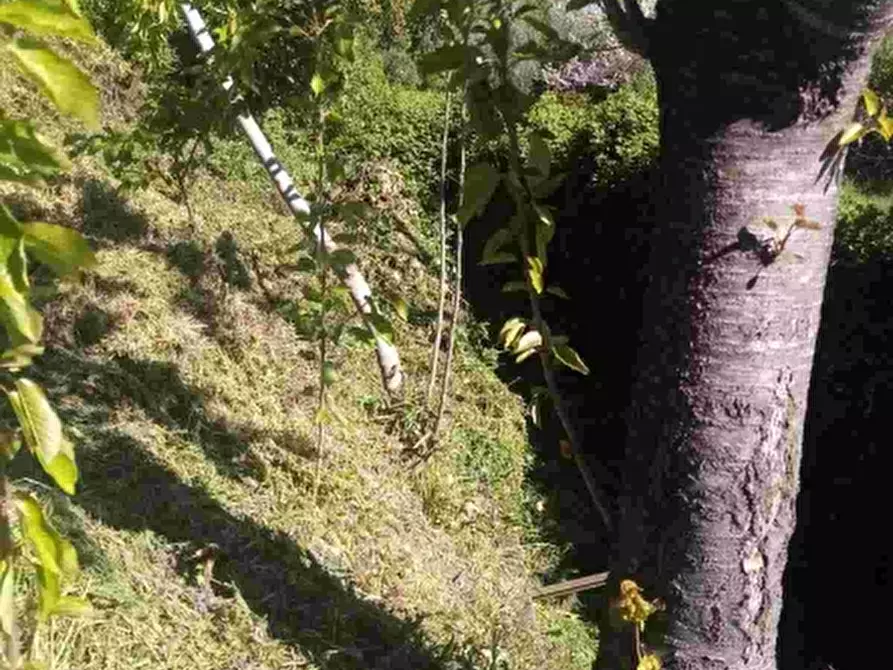 Immagine 3 di Appartamento in vendita  a Marzano Appio