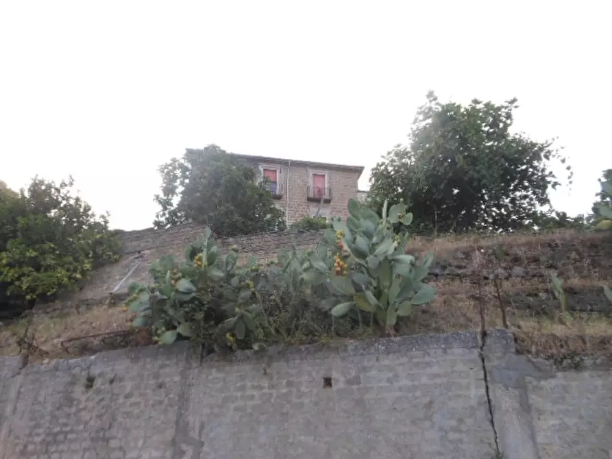 Immagine 19 di Porzione di casa in vendita  a Marzano Appio