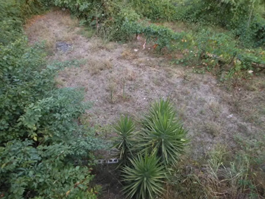 Immagine 6 di Porzione di casa in vendita  a Marzano Appio