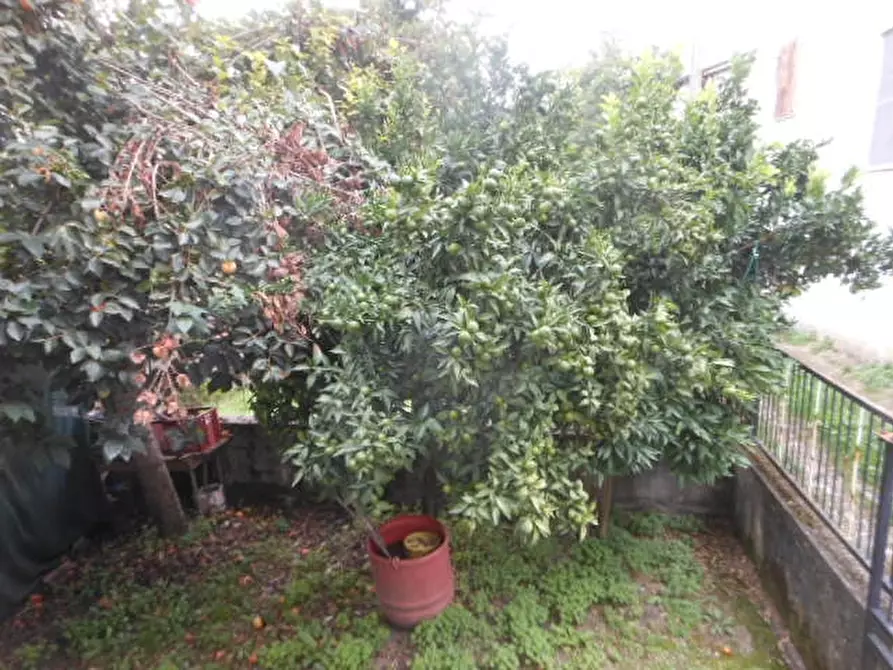 Immagine 10 di Porzione di casa in vendita  a Caianello