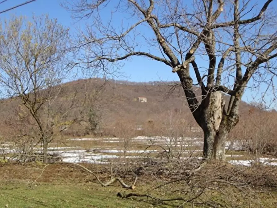 Immagine 5 di Terreno agricolo in vendita  in VIA LATTANI a Roccamonfina