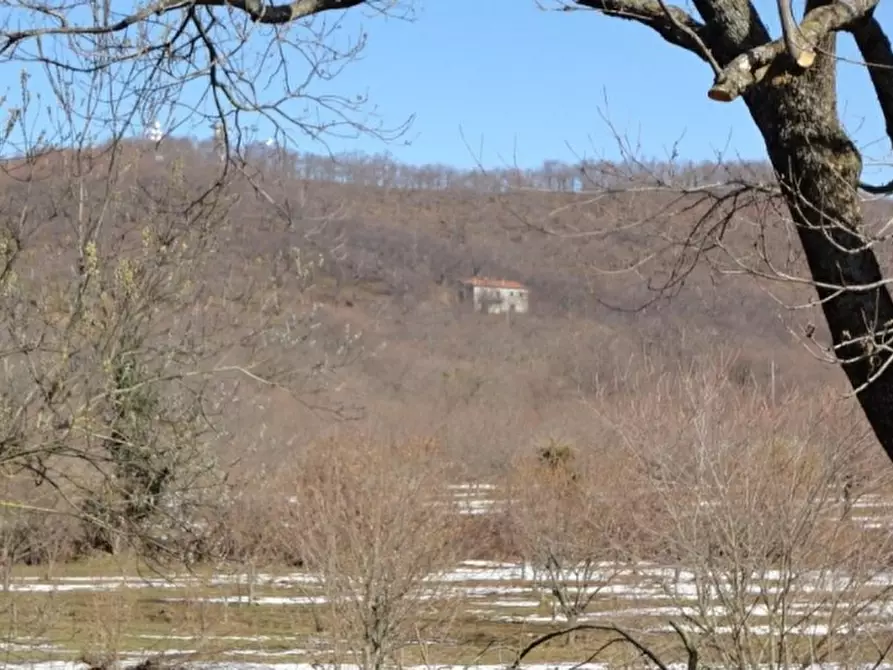 Immagine 6 di Terreno agricolo in vendita  in VIA LATTANI a Roccamonfina