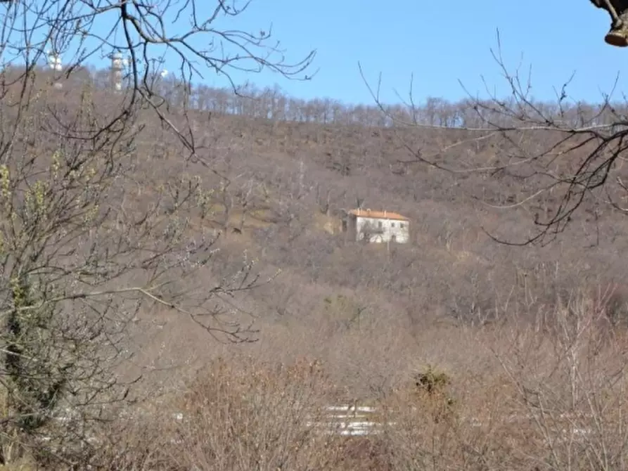 Immagine 7 di Terreno agricolo in vendita  in VIA LATTANI a Roccamonfina