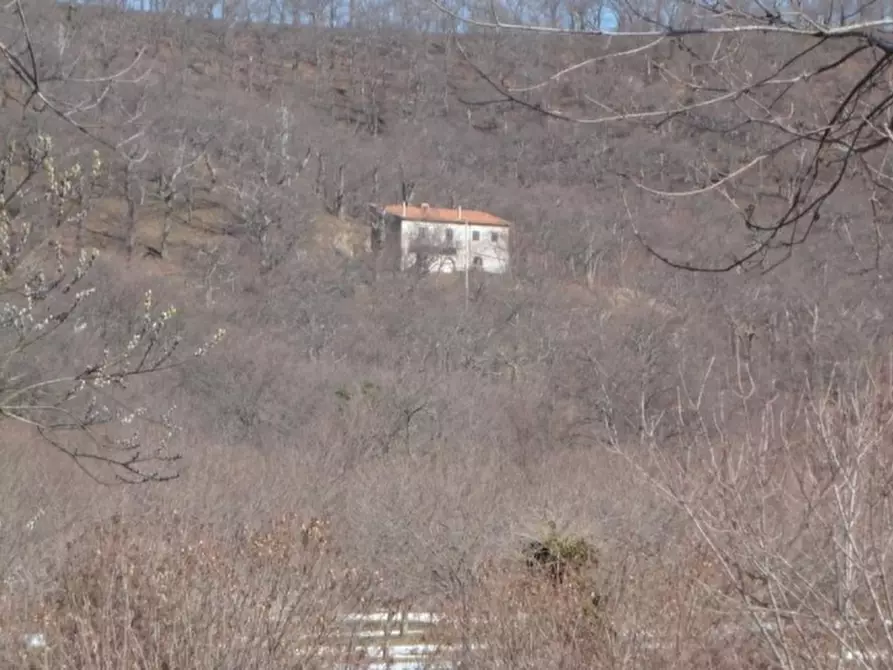 Immagine 8 di Terreno agricolo in vendita  in VIA LATTANI a Roccamonfina