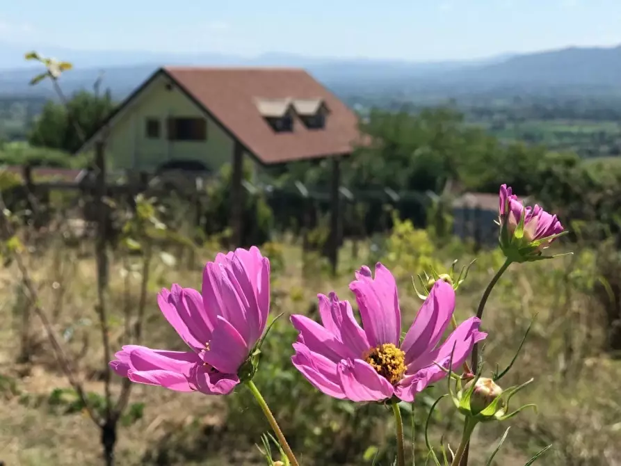 Immagine 11 di Villa in vendita  a Alife