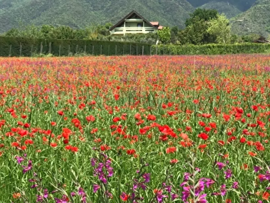 Immagine 16 di Villa in vendita  a Alife