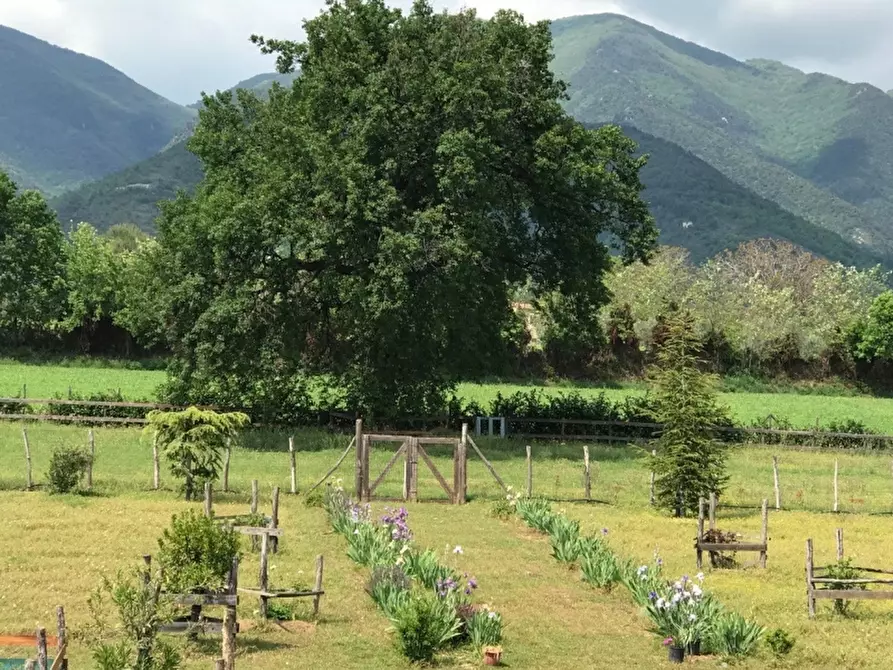 Immagine 18 di Villa in vendita  a Alife