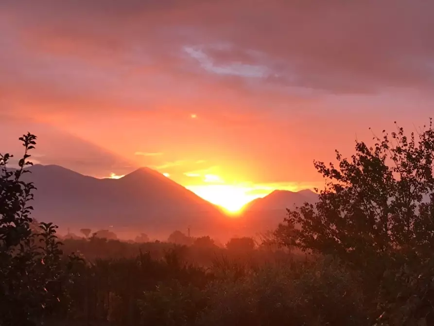 Immagine 10 di Villa in vendita  a Alife